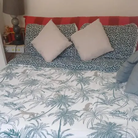 Appartement Monaco Border