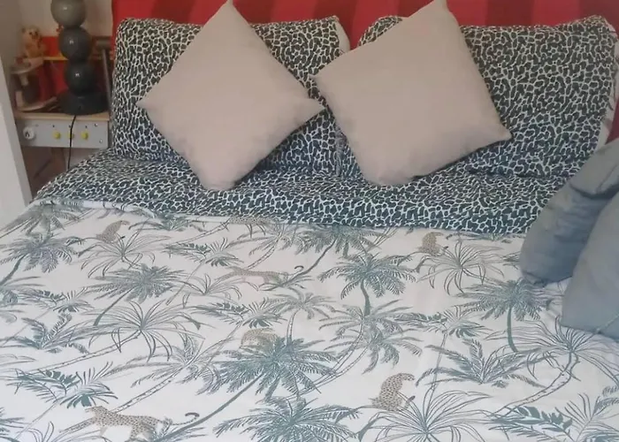 Appartement Monaco Border